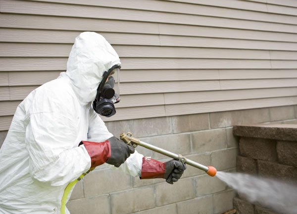 Cambridge Pest Services