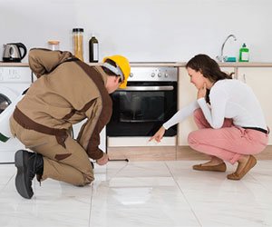 Exterminator Waterloo