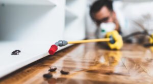 Exterminator Welland