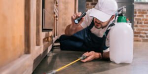 Exterminators in Markham