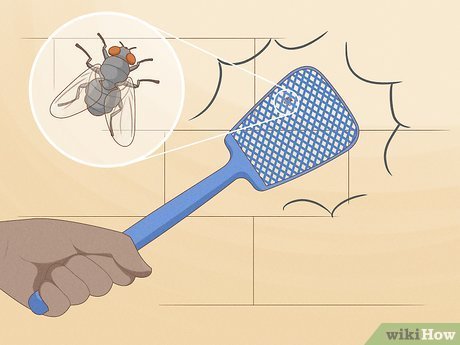 Flies Under Control