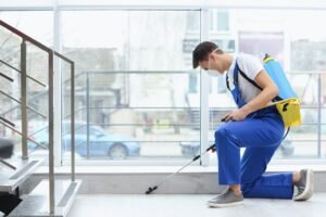 Pest Removal Oshawa