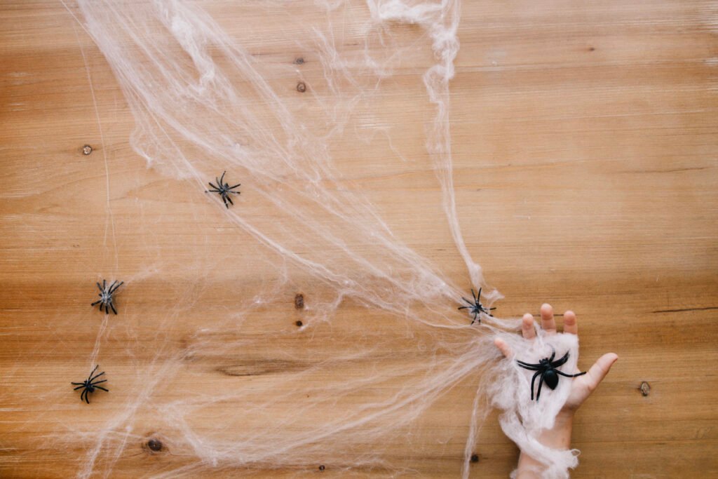 how to rid home of spiders