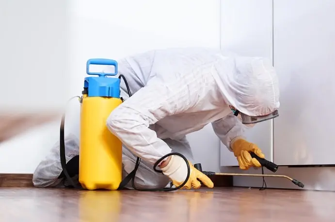 Pest Control Services